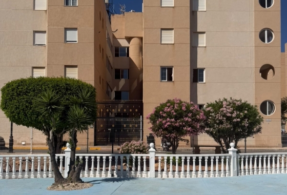 Återförsäljning - Radhus - Torrevieja - Costa Blanca