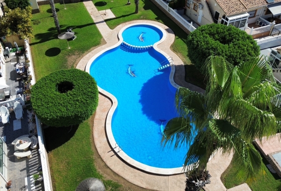 Reventa - Adosado - Orihuela Costa - Lomas de Caboroig