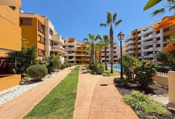 Revente - Appartement - Torrevieja - Punta Prima