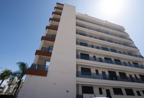 Wiederverkauf - Wohnung - Guardamar del Segura - Puerto Deportivo