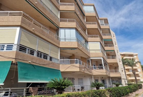 Reventa - Apartamento / piso - Guardamar del Segura - Beach Guardamar
