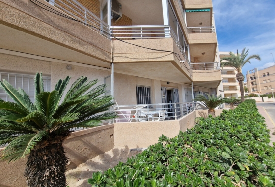 Reventa - Apartamento / piso - Guardamar del Segura - Beach Guardamar