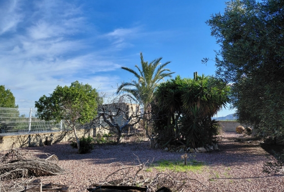 Reventa - Finca - Orihuela - Inland