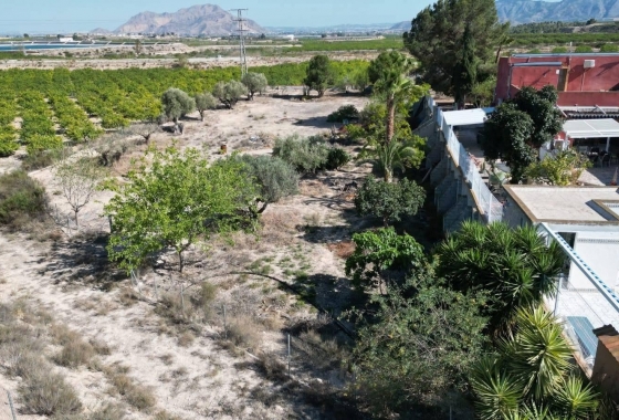 Reventa - Finca - Orihuela - Inland