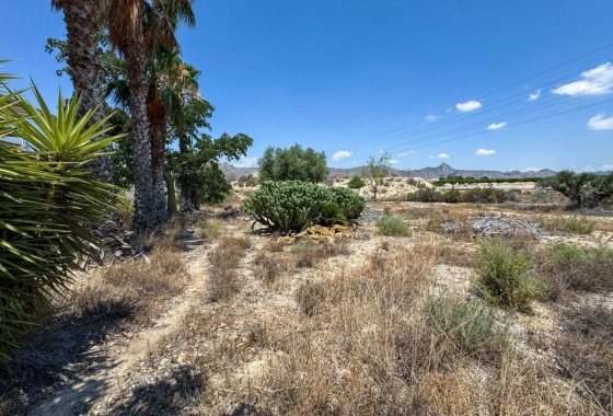 Reventa - Finca - Orihuela - Inland