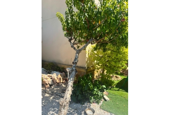 Herverkoop - Villa - Orihuela Costa - Lomas De Cabo Roig