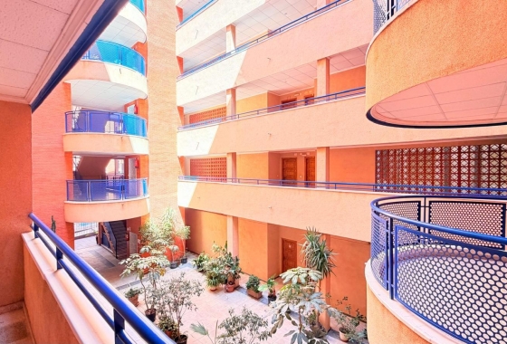 Herverkoop - Appartement / flat - Torrevieja - Acequion