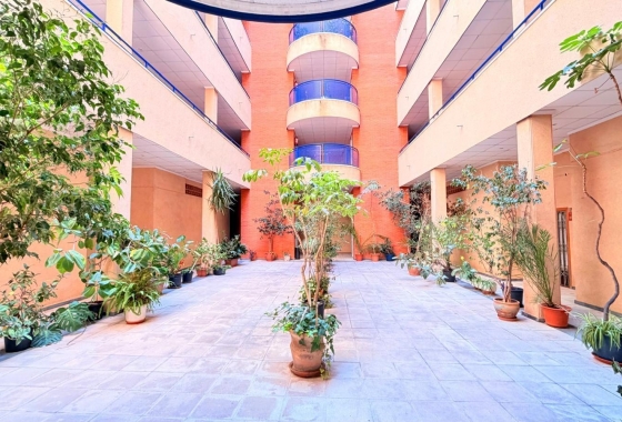 Herverkoop - Appartement / flat - Torrevieja - Acequion