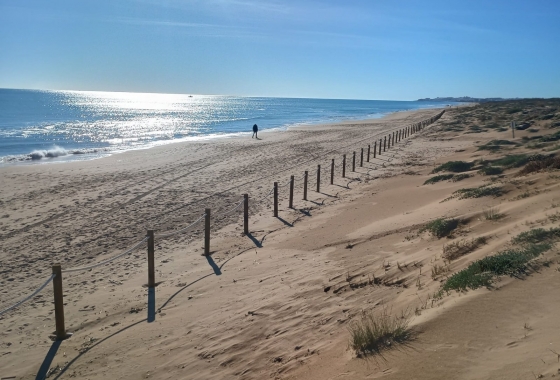 Herverkoop - Appartement / flat - Guardamar del Segura - Costa Blanca