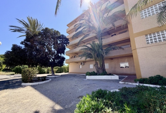 Herverkoop - Appartement / flat - Guardamar del Segura - Costa Blanca