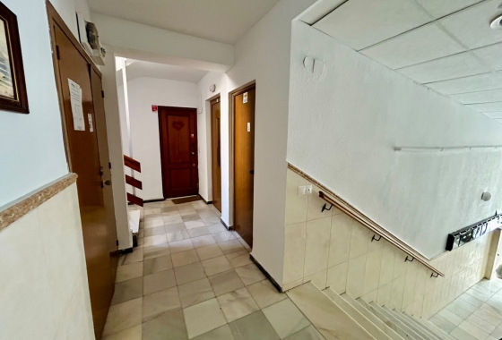 Herverkoop - Appartement / flat - Torrevieja - Costa Blanca