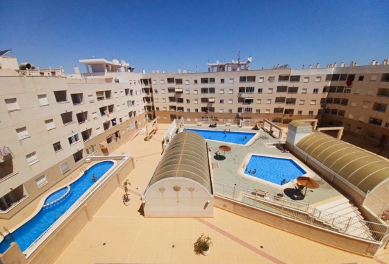 Herverkoop - Appartement / flat - Torrevieja - Costa Blanca