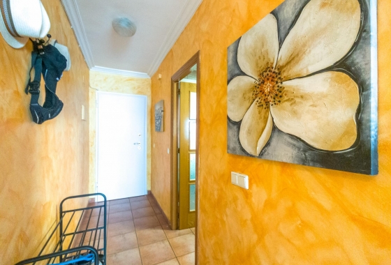 Herverkoop - Appartement / flat - Torrevieja - Acequion