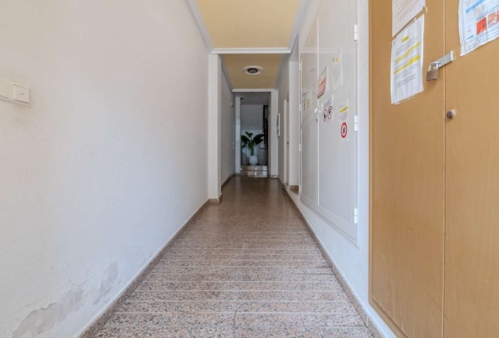 Herverkoop - Appartement / flat - Torrevieja - Costa Blanca