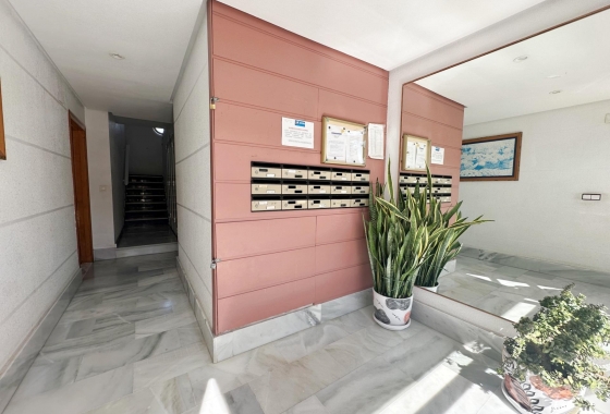 Herverkoop - Appartement / flat - Torrevieja - Playa del Cura