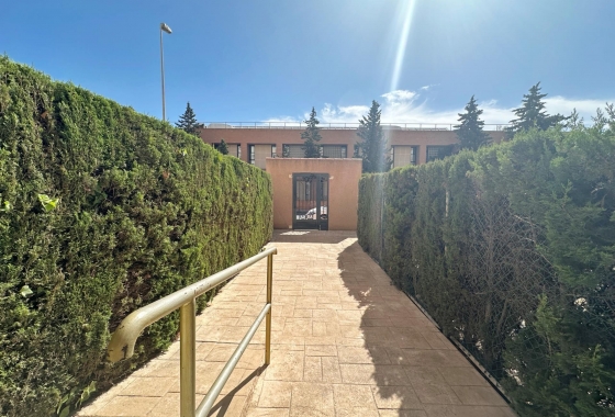 Herverkoop - Appartement / flat - Torrevieja - Playa del Cura