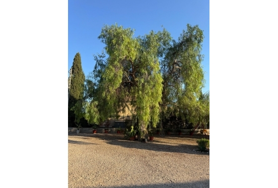 Herverkoop - Villa - Albatera - Partida Lomas
