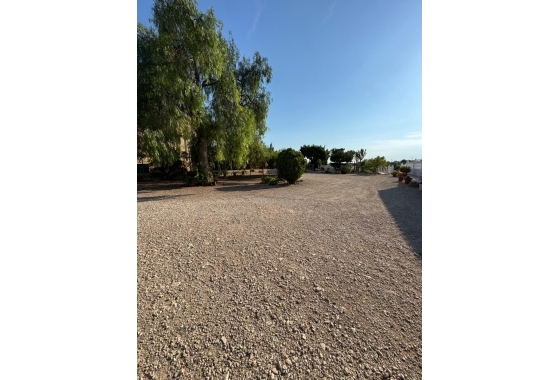 Herverkoop - Villa - Albatera - Partida Lomas