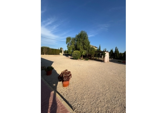 Herverkoop - Villa - Albatera - Partida Lomas