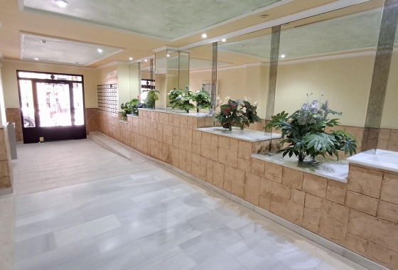 Herverkoop - Appartement / flat - Torrevieja - Estacion De Autobuses