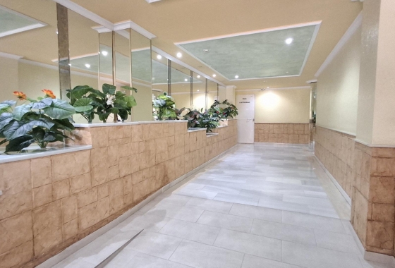Herverkoop - Appartement / flat - Torrevieja - Estacion De Autobuses