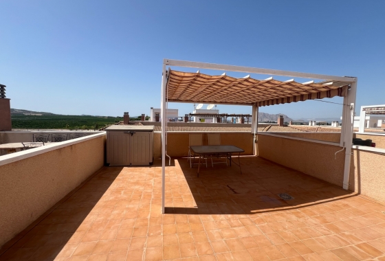 Herverkoop - Appartement / flat - Algorfa - Inland