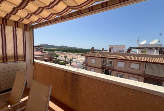 Herverkoop - Appartement / flat - Algorfa - Inland