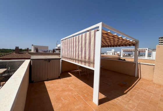 Herverkoop - Appartement / flat - Algorfa - Inland