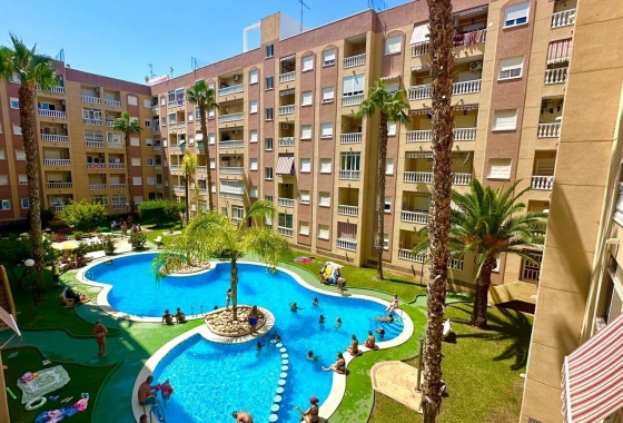 Herverkoop - Appartement / flat - Torrevieja - Centro