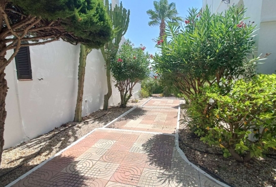 Herverkoop - Appartement / flat - Ciudad Quesada - Costa Blanca