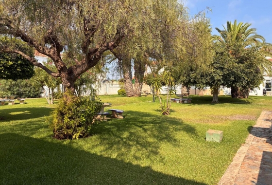 Herverkoop - Appartement / flat - Los Almendros (Orihuela-Costa) - Costa Blanca