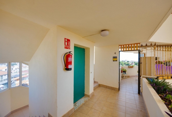Wiederverkauf - Wohnung - Torrevieja - Costa Blanca