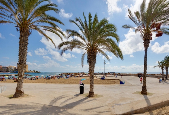 Wiederverkauf - Wohnung - Torrevieja - Costa Blanca