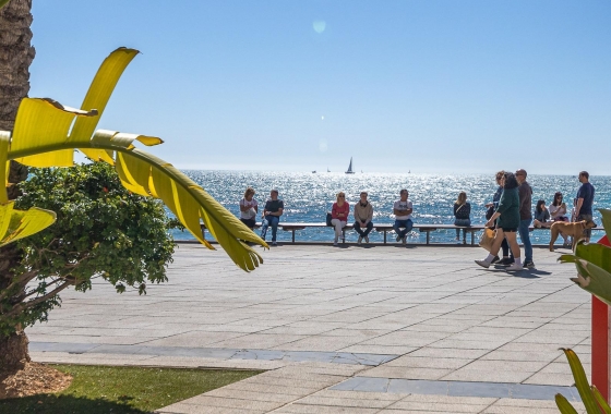 Herverkoop - Appartement / flat - Torrevieja - Playa de los Locos