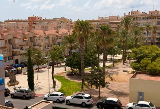 Herverkoop - Appartement / flat - Torrevieja - Estacion De Autobuses