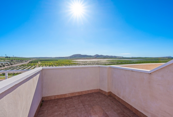 Herverkoop - Appartement / flat - Algorfa - Inland