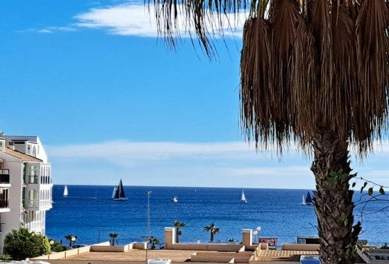 Herverkoop - Appartement / flat - Torrevieja - Costa Blanca