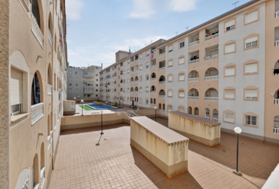 Herverkoop - Appartement / flat - Torrevieja - Costa Blanca