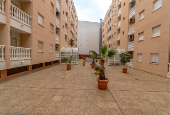 Herverkoop - Appartement / flat - Torrevieja - Costa Blanca