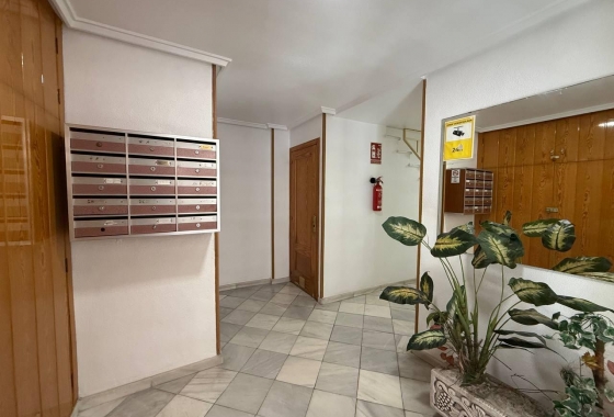 Herverkoop - Appartement / flat - Torrevieja - Centro
