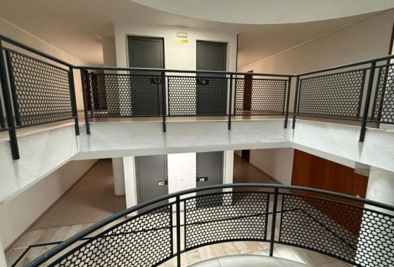 Herverkoop - Appartement / flat - Torrevieja - Costa Blanca