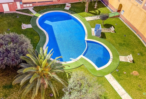 Herverkoop - Appartement / flat - Torrevieja - Costa Blanca