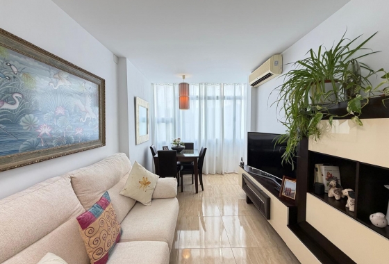 Herverkoop - Appartement / flat - Torrevieja - Paseo Maritimo