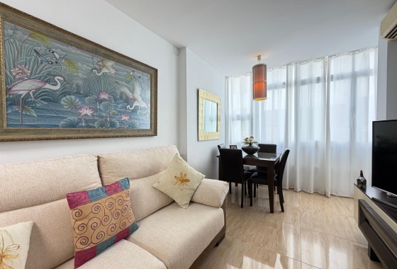 Herverkoop - Appartement / flat - Torrevieja - Paseo Maritimo