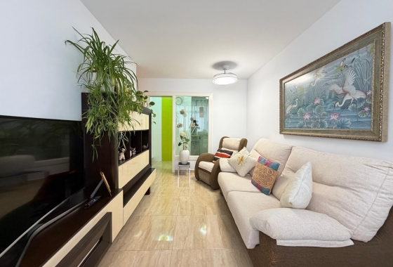 Herverkoop - Appartement / flat - Torrevieja - Paseo Maritimo