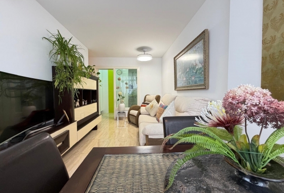 Herverkoop - Appartement / flat - Torrevieja - Paseo Maritimo