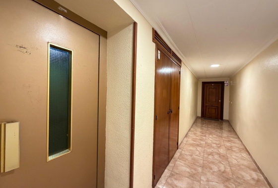 Herverkoop - Appartement / flat - Torrevieja - Paseo Maritimo