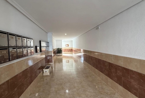 Herverkoop - Appartement / flat - Torrevieja - Acequion