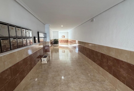 Herverkoop - Appartement / flat - Torrevieja - Acequion
