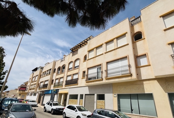 Herverkoop - Appartement / flat - Pilar de la Horadada - Costa Blanca